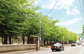 県立金沢泉丘高等学校前