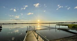 リフレクション