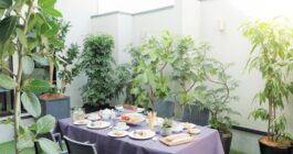 アウトドアテラスの過ごし方アイデア